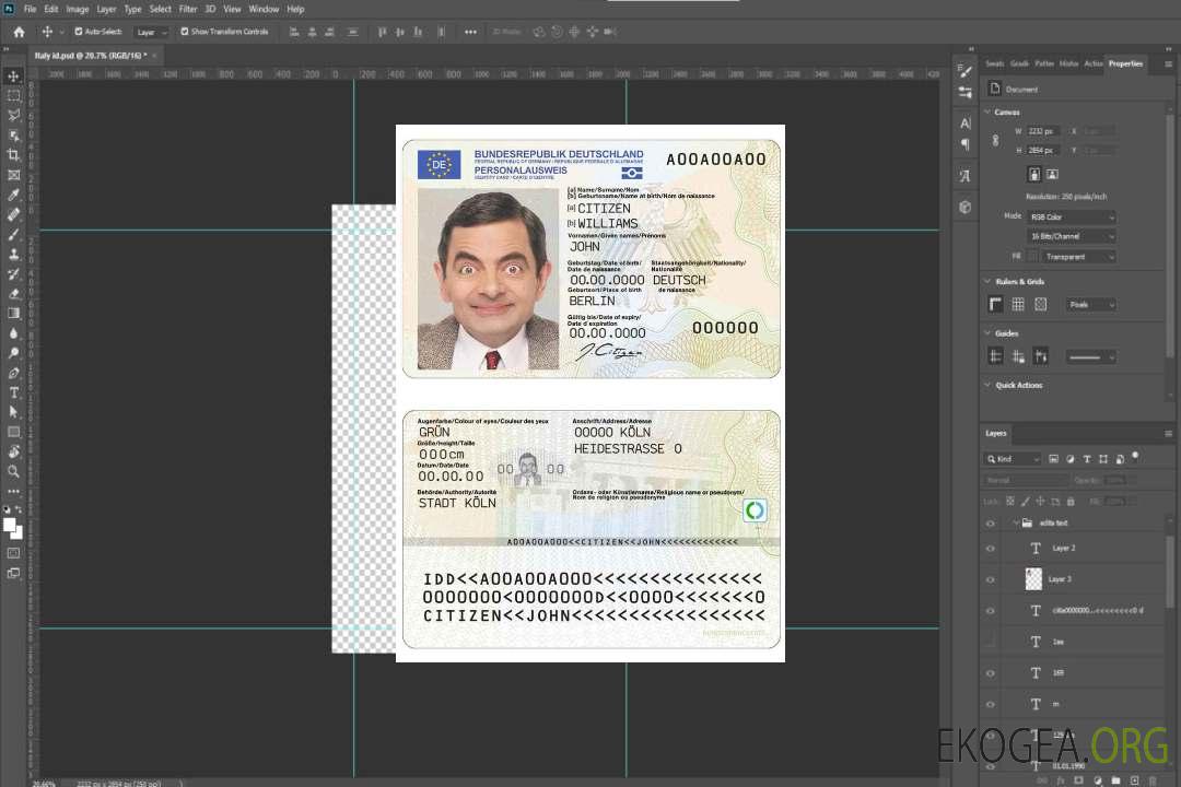 Modèle d'identification d'Allemagne au format PSD, entièrement modifiable, avec toutes les polices (2021 – présent) template